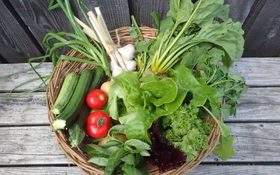 Grow Skye! Dùisg an talamh