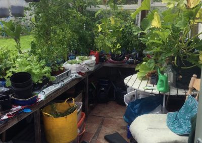 My conservatory and garden