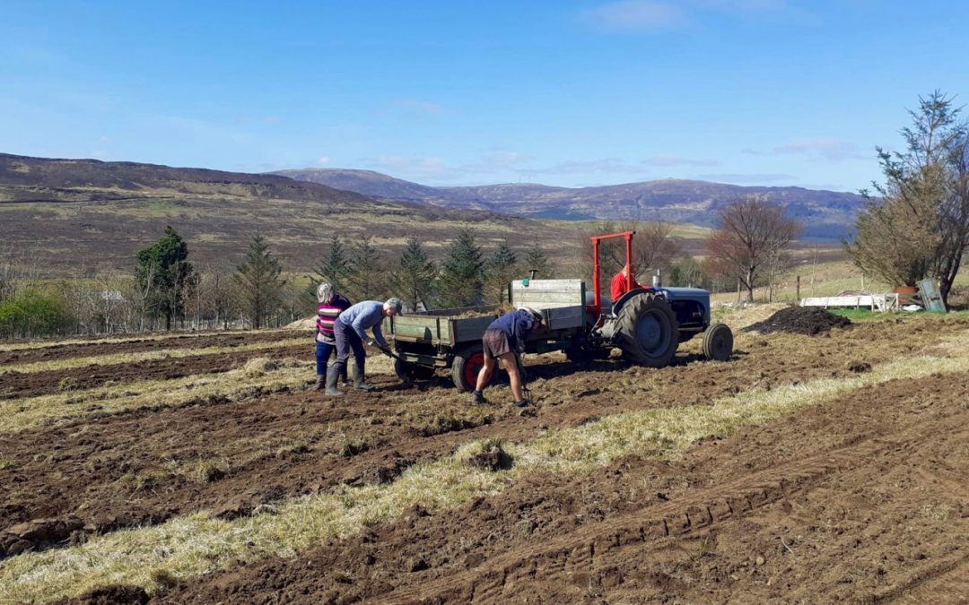 Camustianavaig tattie patch