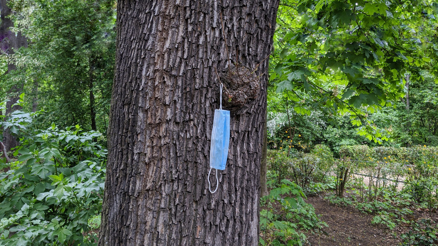 face mask hanging on a tree