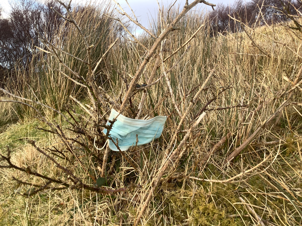 facemask caught in roadside brambles
