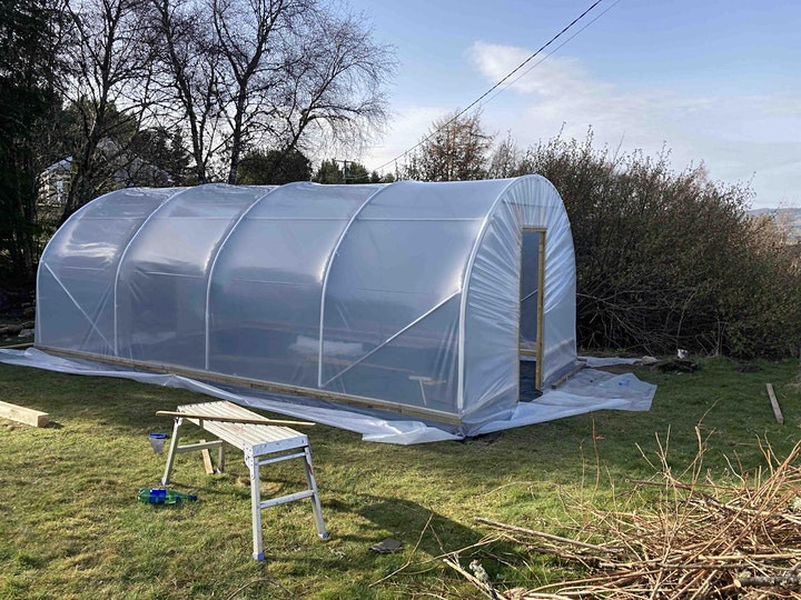 a five frame polytunnel