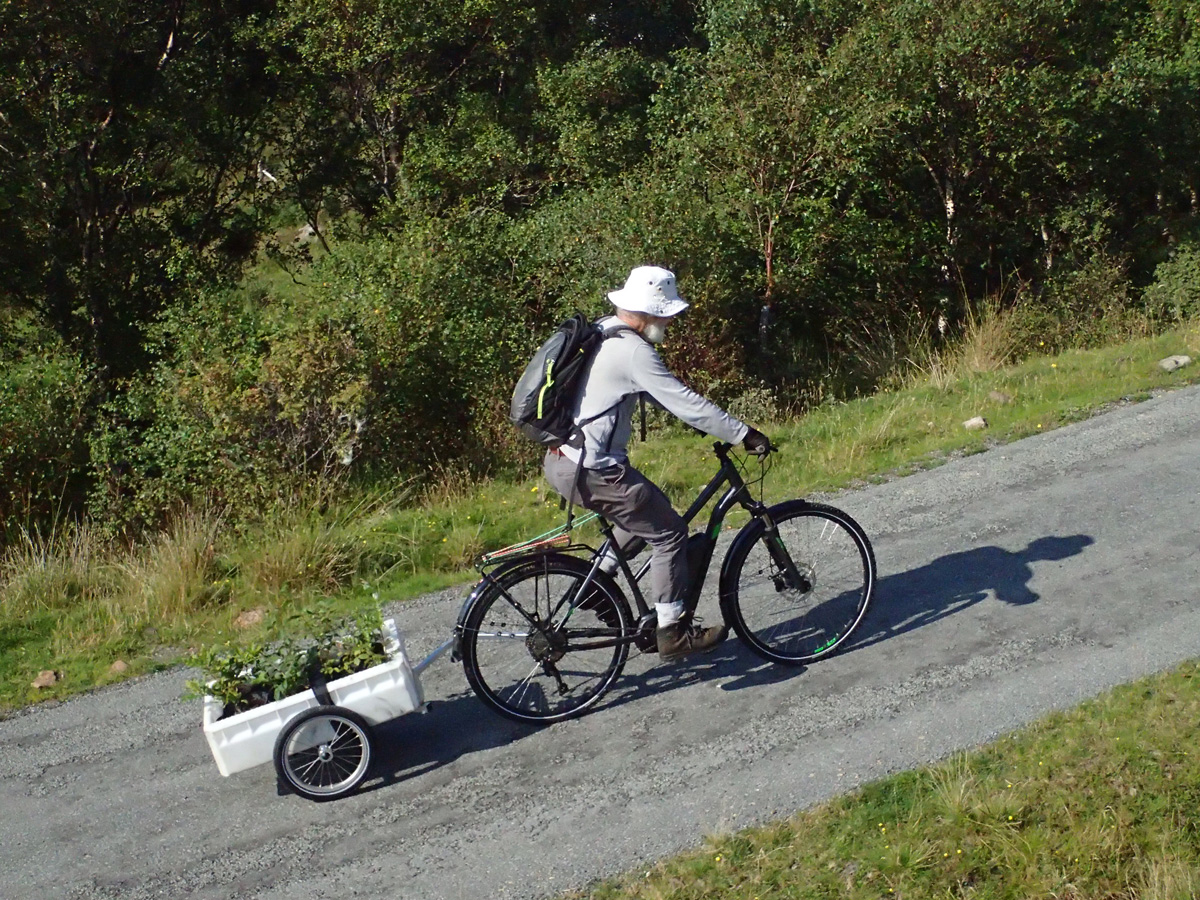 beared man on ebike with trailer containing tree seedlings