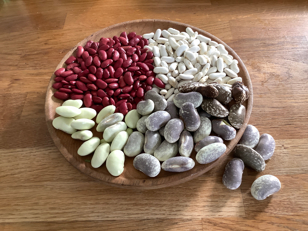 FOUR TYPES OF DRIED BEANS ON A WOODEN PLATE