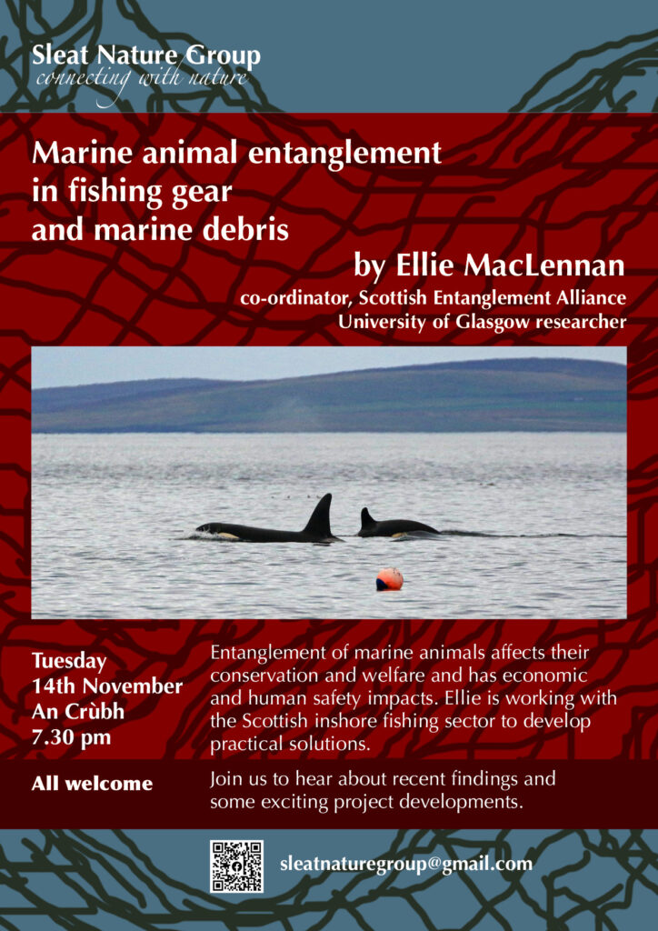 Poster of killer wales tangled in fishing gear, with text about the talk