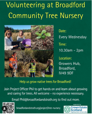 People hold tree seedlings with text about the volunteering sessions