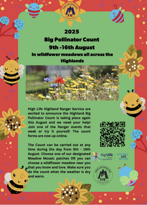 colourful graphic of bees, butterflies and flowering plants